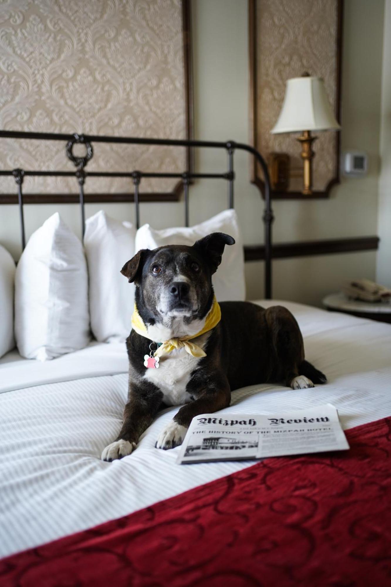 Mizpah Hotel トノパー エクステリア 写真